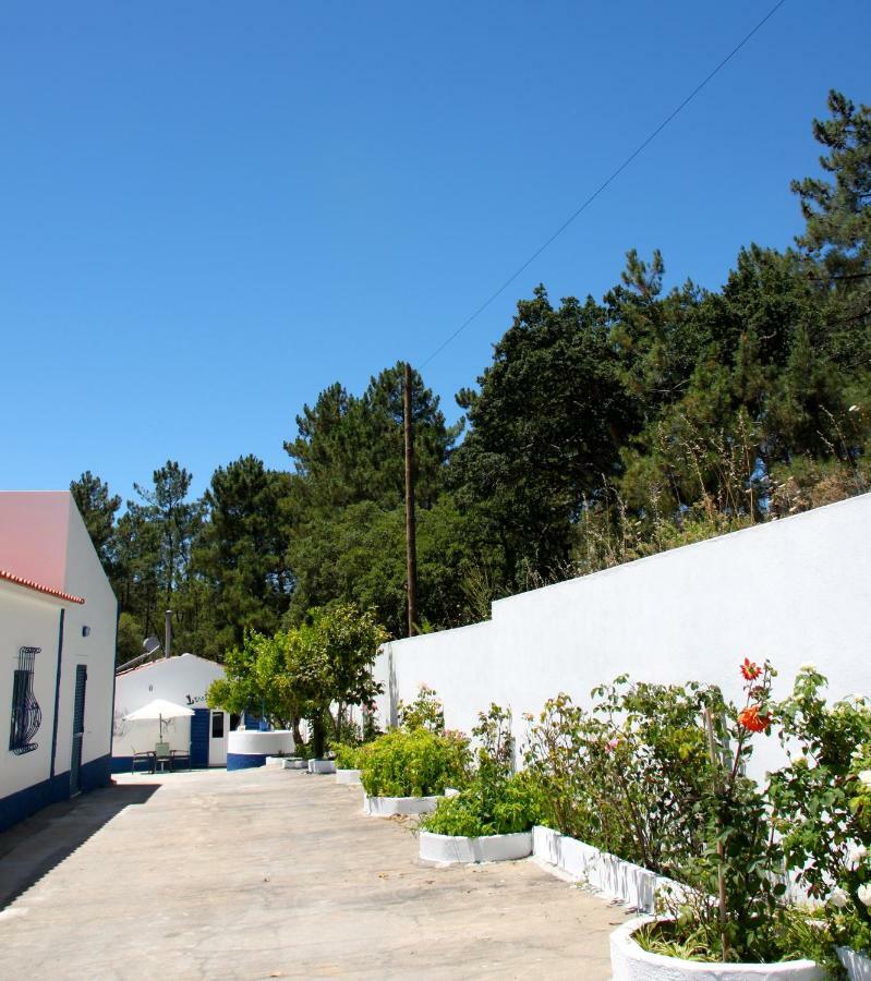 Bed and Breakfast Casa Do Loureiro Branco Сантарен Екстер'єр фото